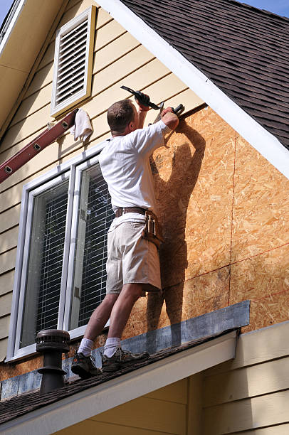 Best Demolition Debris Removal  in Orleans, IN
